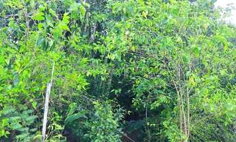 Imagem 2: TERRENO RURAL em PIEDADE - SP, Godinho/Piraporinha