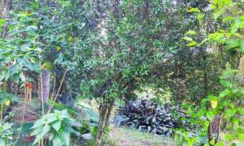 Imagem 4: TERRENO RURAL em PIEDADE - SP, Godinho/Piraporinha