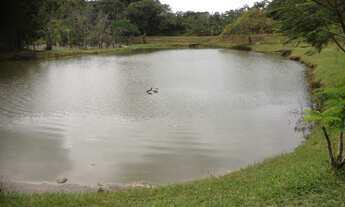Imagem: SÍTIO EM MONTE GORDO