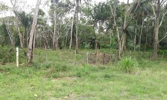 Imagem 7: TERRENO EM CAMAÇARI