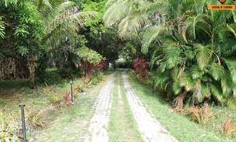 Imagem 6: TERRENO EM CAMAÇARI