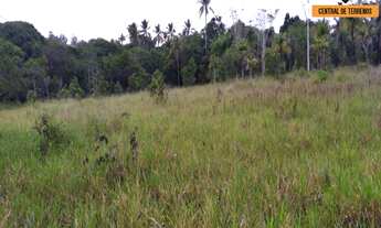 Imagem: TERRENO NA VIA PARAFUSO