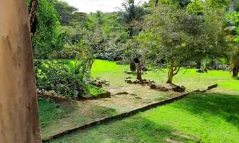 Imagem: SÍTIO EM ABRANTES - CAMAÇARI