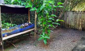 Imagem 4: SÍTIO EM ABRANTES - CAMAÇARI