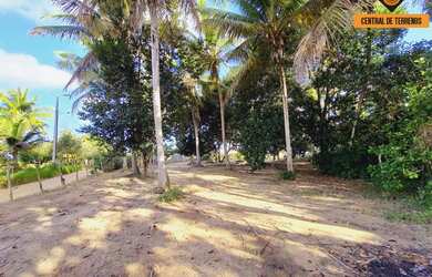 Imagem 5: FAZENDA EM MATA DE SÃO JOÃO