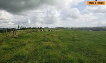 Imagem 3: FAZENDA EM SÃO SEBASTIÃO DO PASSÉ