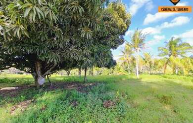 Imagem 4: FAZENDA EM MATA DE SÃO JOÃO