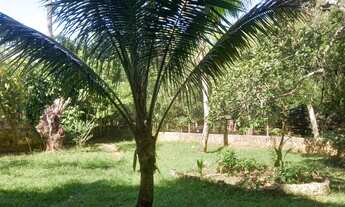 Imagem 2: SÍTIO EM ABRANTES