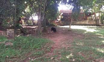 Imagem 3: SÍTIO EM ABRANTES