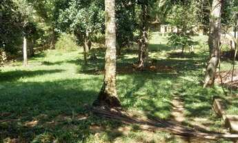 Imagem 6: SÍTIO EM ABRANTES