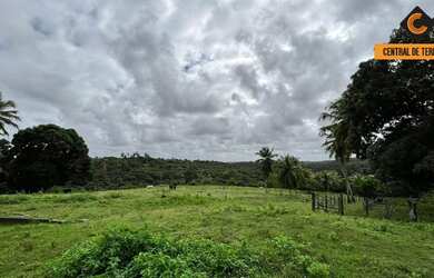 Imagem 4: SÍTIO EM CAJAZEIRAS DE ABRANTES