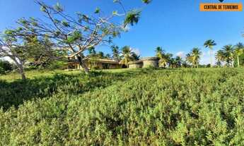 Imagem 4: TERRENO EM BARRA DO JACUIPE ? CAMAÇARI