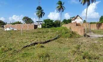 Imagem 6: TERRENO EM BAIXIO NA LINHA VERDE