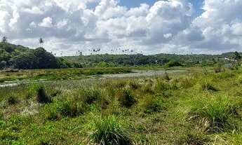 Imagem 4: TERRENO EM BAIXIO NA LINHA VERDE