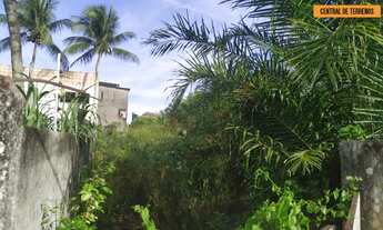 Imagem: TERRENO NA ESTRADA DO COCO