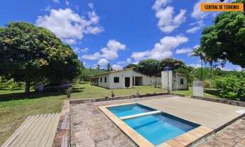 Imagem: SITIO RURAL em CAMAÇARI - BA, JORRINHO