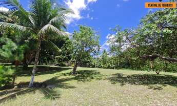 Imagem 4: SITIO RURAL em CAMAÇARI - BA, JORRINHO