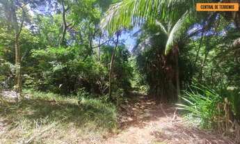 Imagem 4: TERRENO EM AÇU DA TORRE