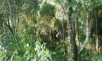 Imagem 2: Área a Venda dois lotes de terrenos um ao lado do outro