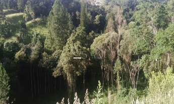 Imagem 5: Área a Venda dois lotes de terrenos um ao lado do outro