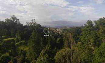Imagem 6: Área a Venda dois lotes de terrenos um ao lado do outro