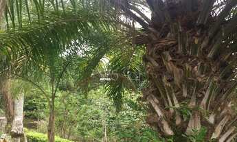 Imagem 3: CHACARÁ PIRACIA/JOÁNOPOLIS, 3 dormitórios na Estrada Municipal Antônio Garcia