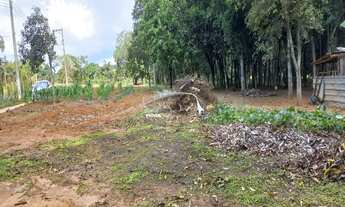Imagem: Excelente oportunidade Sitio à venda em