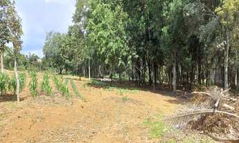 Imagem 5: Excelente oportunidade: Sitio à venda em Jundiaí Mirim, 2 quartos, 1 banheiro, 324m² de ár