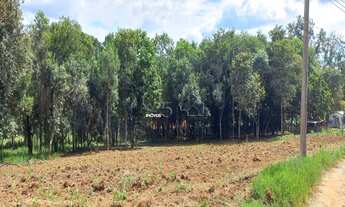 Imagem 6: Excelente oportunidade: Sitio à venda em Jundiaí Mirim, 2 quartos, 1 banheiro, 324m² de ár