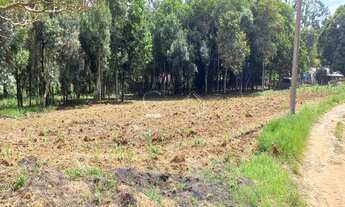 Imagem 7: Excelente oportunidade: Sitio à venda em Jundiaí Mirim, 2 quartos, 1 banheiro, 324m² de ár