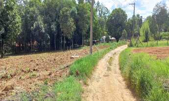 Imagem 4: Excelente oportunidade: Sitio à venda em Jundiaí Mirim, 2 quartos, 1 banheiro, 324m² de ár