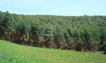 Imagem 7: Vende-se Belíssimo Sítio com 20,7 Alqueires na Região Champirra / Mato Dentro Jundiaí-SP