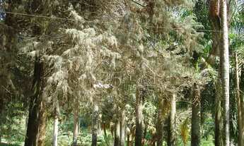 Imagem 2: Vende-se Belíssimo Sítio com 20,7 Alqueires na Região Champirra / Mato Dentro Jundiaí-SP