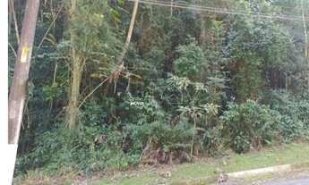 Imagem: Terreno Na Serra da Cantareira