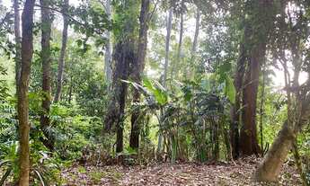 Imagem 6: Terreno à venda em Caieiras-SP, bairro Crisciuma com 295,12m² !