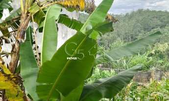 Imagem 2: Terreno à venda em Caieiras-SP, bairro Vera Tereza, 250m² de área!