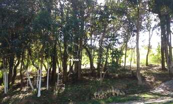 Imagem 4: Sitio a venda na região do caxambú