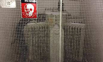 Imagem 2: Galpão Pirituba com 650Kvas - Venda ou Locação - Ifacil.com.br