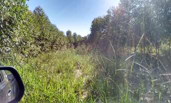 Imagem 4: Fazenda para venda em Januaria-MG, com 500 hectares, rio na propriedade e energia elétrica