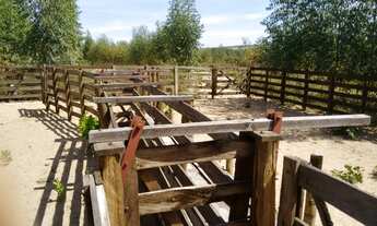 Imagem 5: Fazenda para venda em Januaria-MG, com 500 hectares, rio na propriedade e energia elétrica