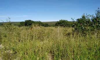 Imagem 6: Fazenda para venda em Januaria-MG, com 500 hectares, rio na propriedade e energia elétrica