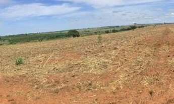 Imagem: Fazenda para venda na região de Fernandopolis-SP
