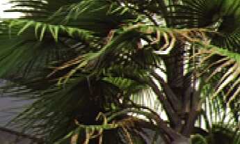 Imagem 4: Magnifico lançamento em Balneario Camboriu-SC, o imponente Yachthouse Pininfarina, apartam