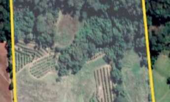 Imagem: Sitio para venda em Fernando Prestes-SP