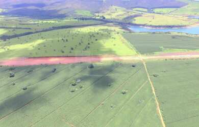 Imagem 4: Excelente fazenda para venda em Capitolio-MG, com 219 alqueires SP, 10 km de margem, monta