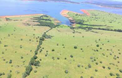 Imagem 2: Excelente fazenda para venda em Capitolio-MG, com 219 alqueires SP, 10 km de margem, monta