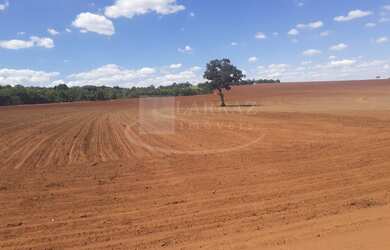 Imagem 2: Fazenda para venda na regiao de Uberlandia-MG, com 91 alqueirao sendo 68 alqueirao em cana