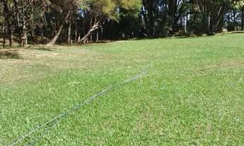 Imagem: Sitio para venda na região de Campo Alegre