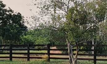 Imagem: Fazenda para gado a venda em Tocantins no