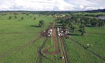 Imagem: Ótima fazenda dupla aptidão para venda